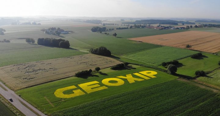 Nachhaltige Werbung auf Feldern – im Gespräch mit GEOXIP über Blumenlogos und Chancen für alle