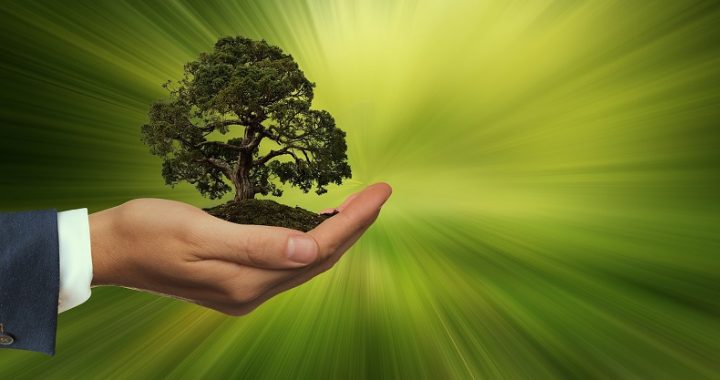 Unternehmen nachhaltig und ökologisch gestalten – worauf sollte geachtet werden?